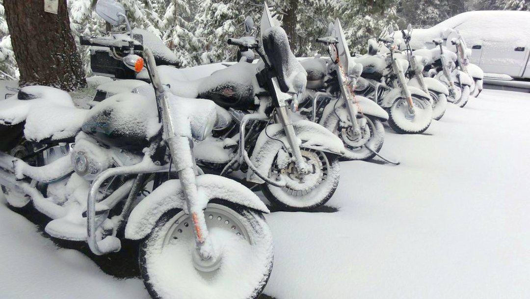 7 Harley-Davidson motorcycles covered in snow