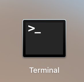 Open MAC terminal